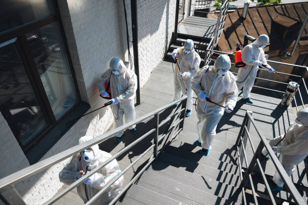 Mold Removal for HVAC Installations in Johnston, SC