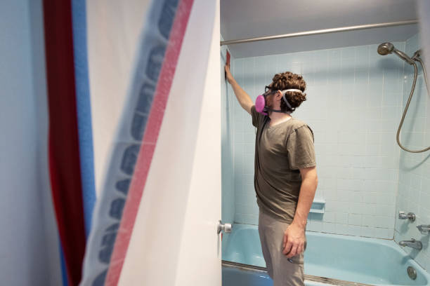 Best Mold Remediation for Healthcare Facilities  in Johnston, SC