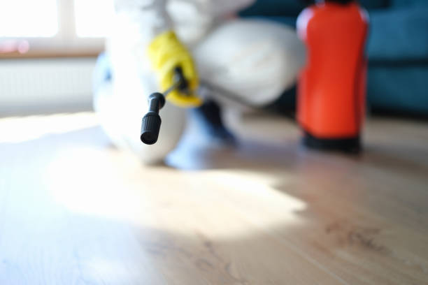 Best Indoor Air Quality Assessment  in Johnston, SC