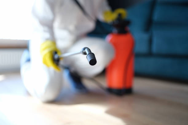  Johnston, SC Mold Removal Pros