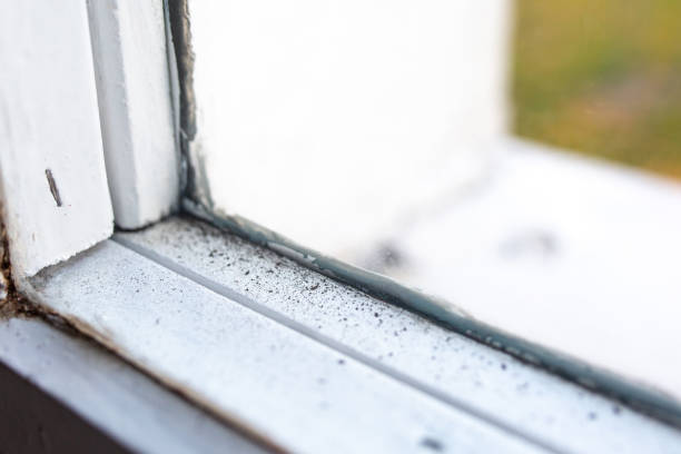 Dehumidification Services in Johnston, SC