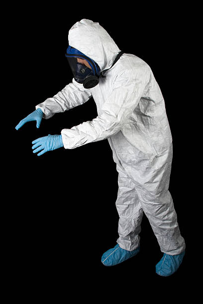 Best Basement Mold Removal  in Johnston, SC