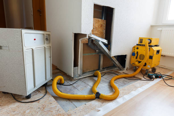 Best Air Quality Testing for Mold Spores  in Johnston, SC