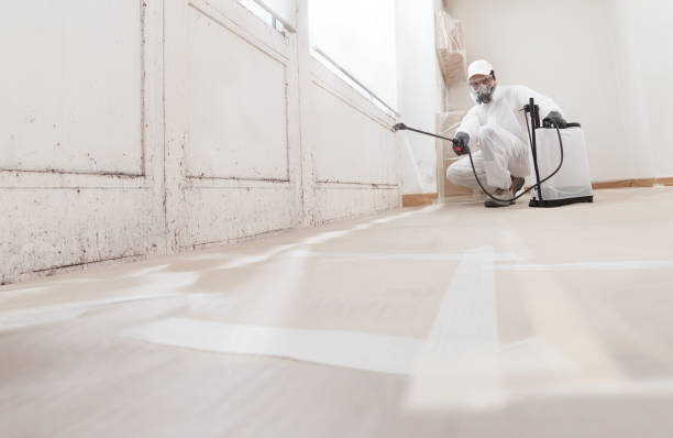 Mold Documentation for Insurance Claims in Johnston, SC