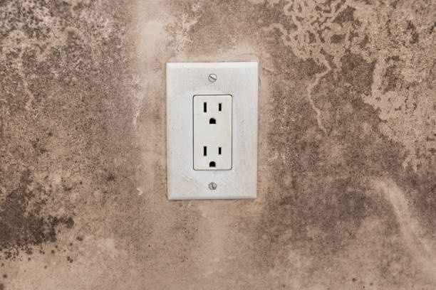Johnston, SC Mold Removal Company